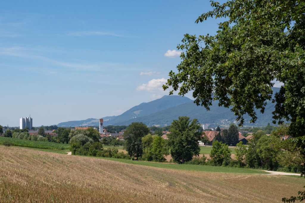 hochzeitsfotografin-jeannine-hellbach-olten-landschaft-kappel